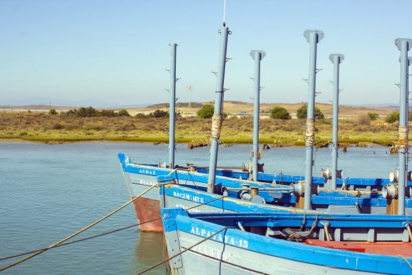 Barbate