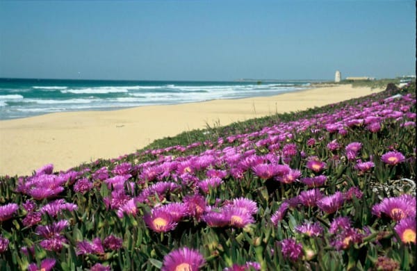 El Palmar Beach